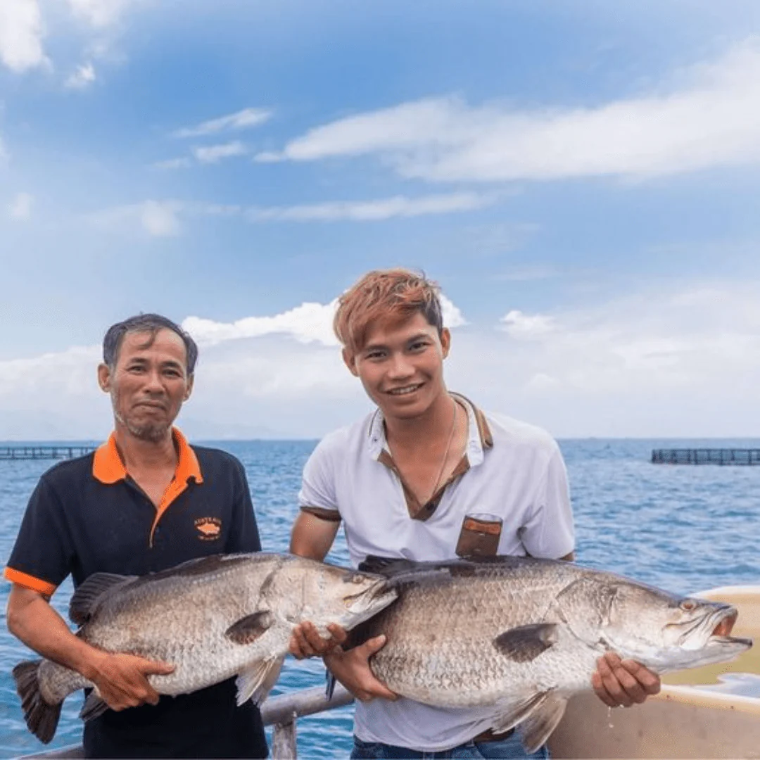 Barramundi - Image 6