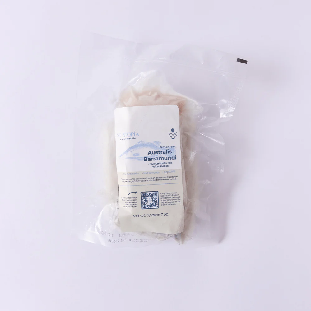 Barramundi - Image 7