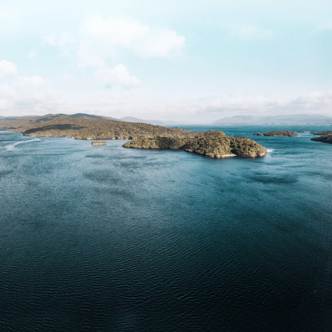 Big Glory Bay, King Salmon - Image 4