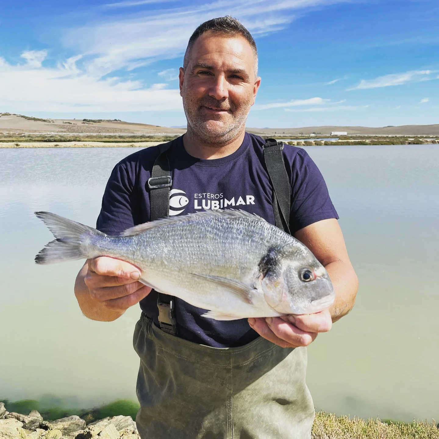 Bream - Image 5