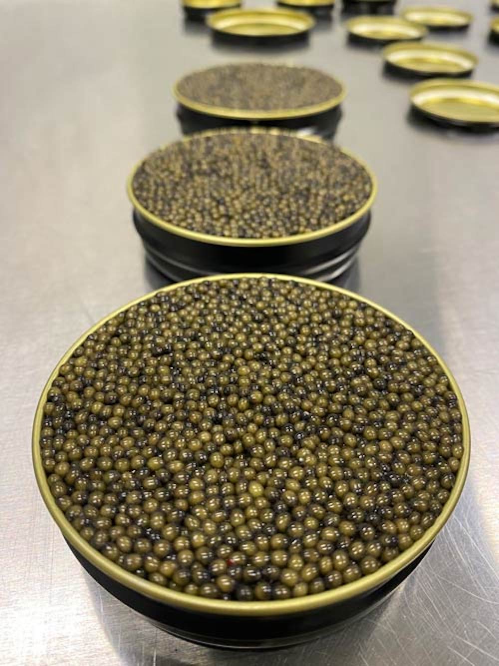 Marshallberg, Classic Osetra Caviar - Image 3