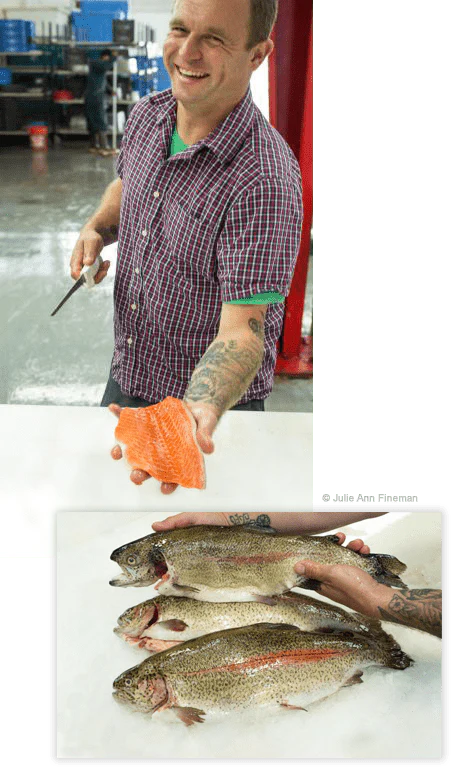 McFarland Springs, Trout Dogs - Image 2
