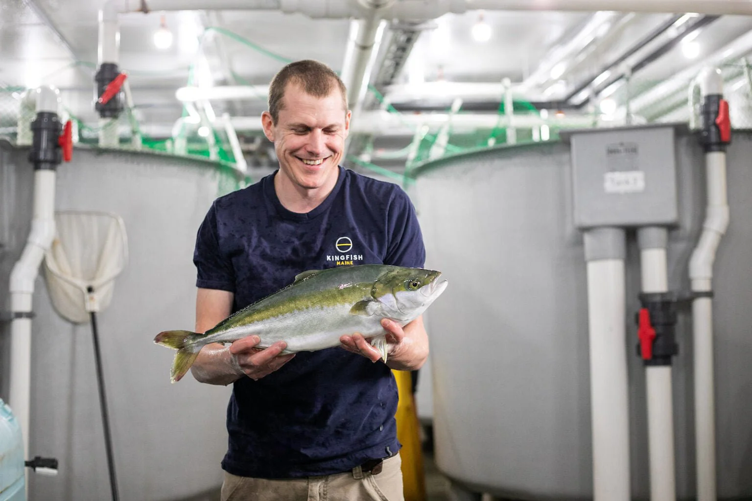 The Kingfish Company, Yellowtail, Sashimi Loin - Image 6